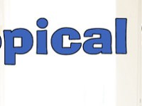 Indoor Bonsai? Tropical&nbsp;Species!