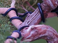 What happened to 2025, and what’s planned for&nbsp;2026